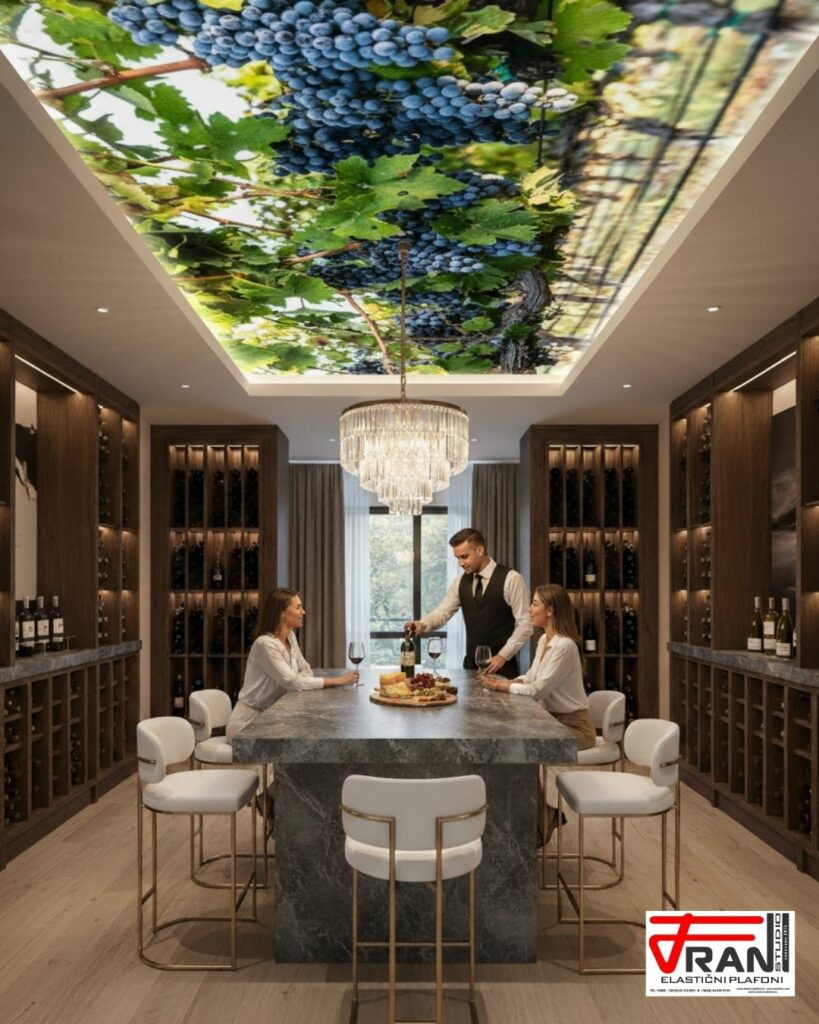 el. franstudio vinarije i od olge 02 (1)