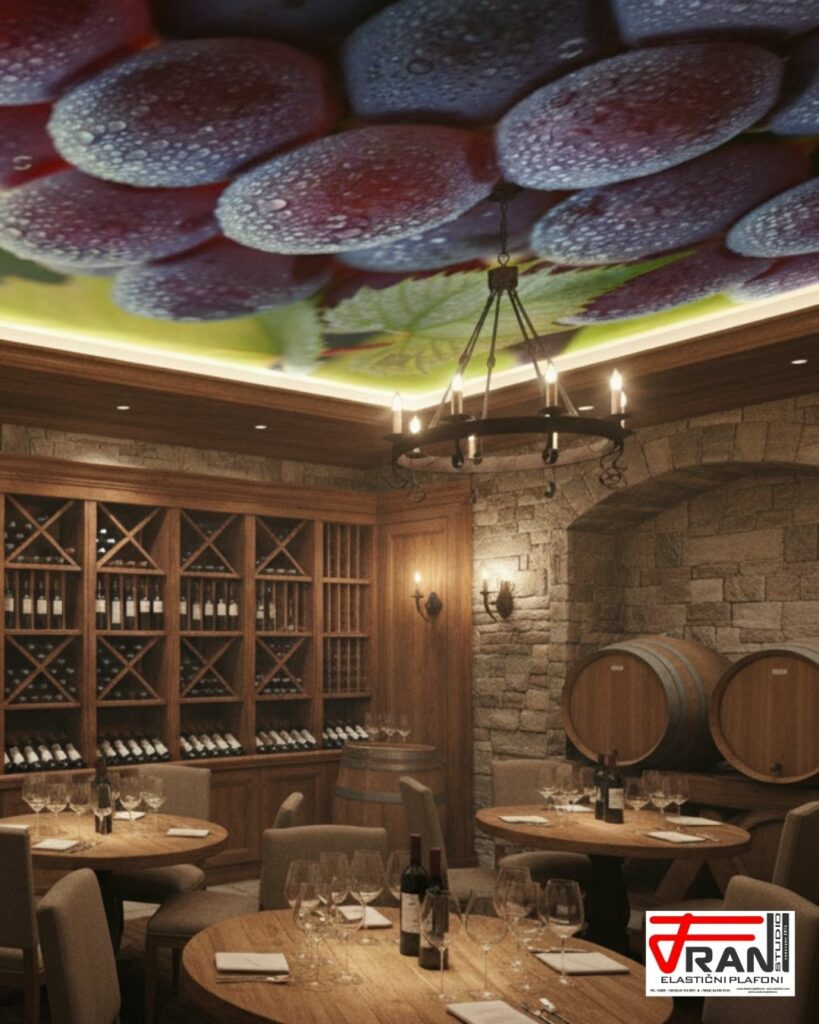 el. franstudio vinarije od olge (2)